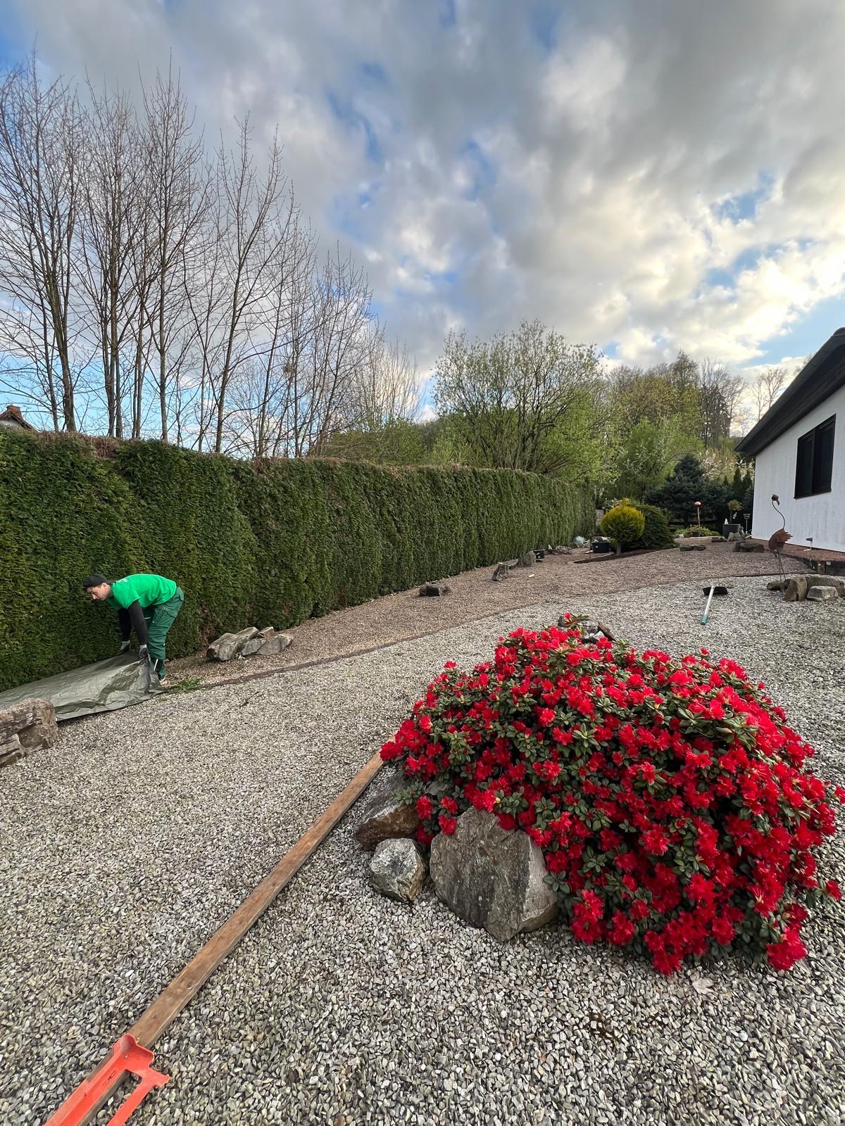 Projekt von Greenclean aus der Region