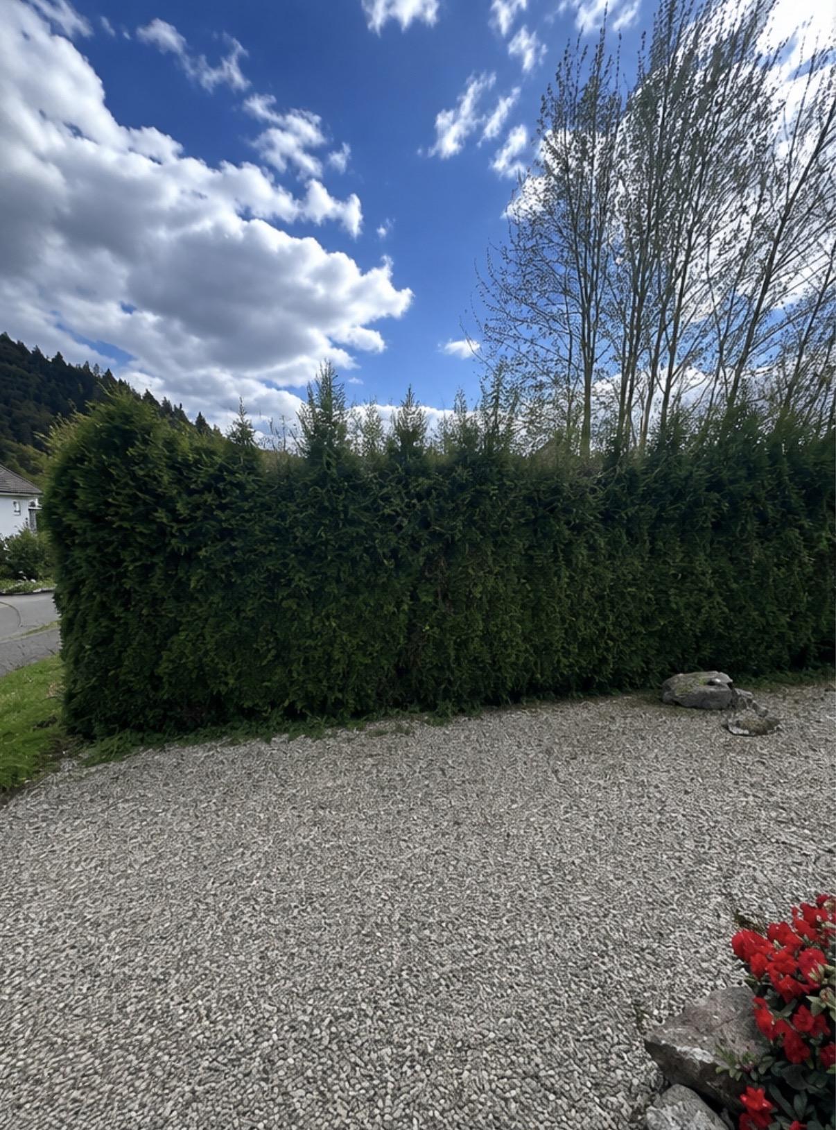 Gartenpflege & Grundstückspflege – vorher